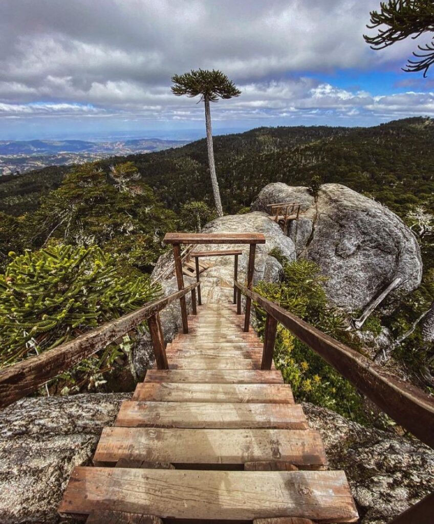 Parque Nacional Nahuelbuta